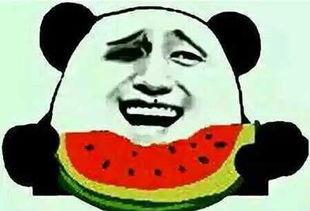 娱乐圈圈吃瓜群众叫什么